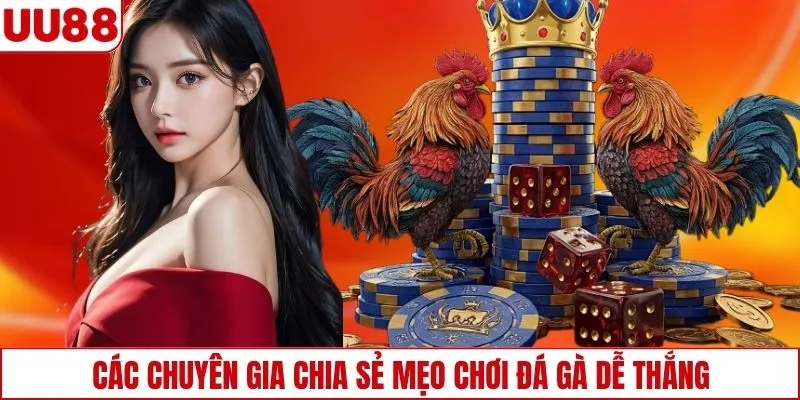 Các chuyên gia chia sẻ mẹo chơi đá gà dễ thắng