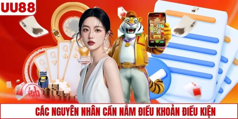 Các nguyên nhân cần nắm điều khoản điều kiện