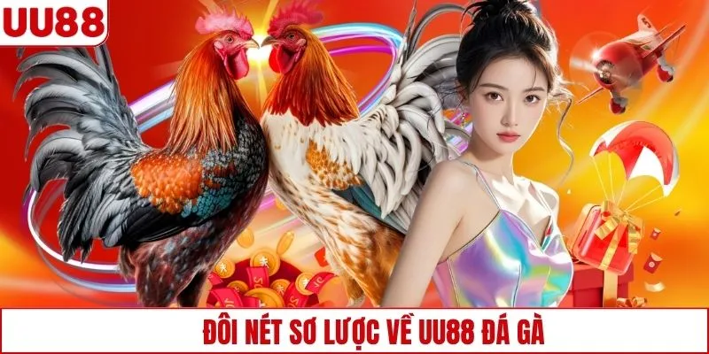 Đôi nét sơ lược về UU88 đá gà