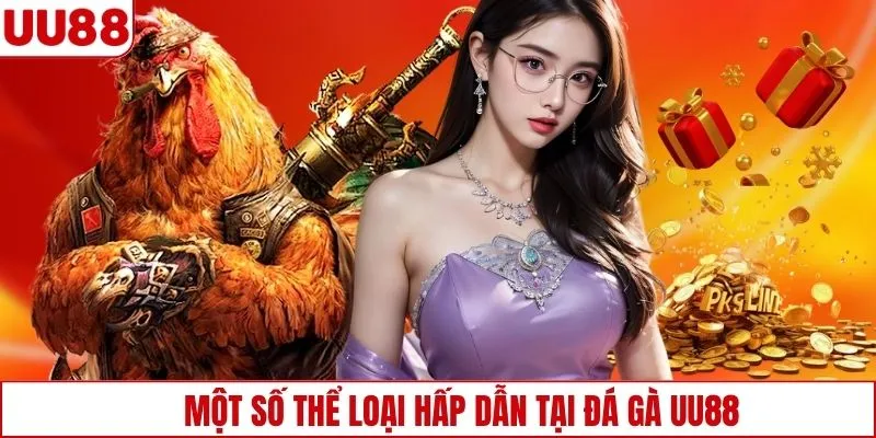 Một số thể loại hấp dẫn tại đá gà UU88