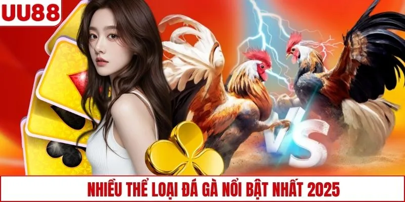 Nhiều thể loại đá gà nổi bật nhất 2025