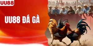 UU88 Đá Gà - Sân Chơi Kịch Tính Cho Giới Yêu Gà Chọi Online