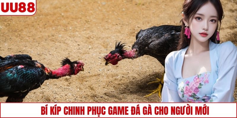 Bí kíp chinh phục game đá gà cho người mới